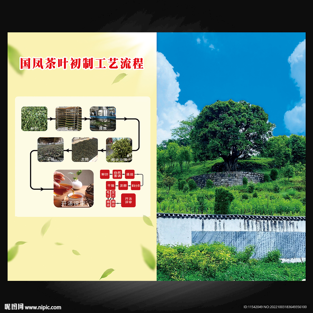 茶叶初制工艺流程