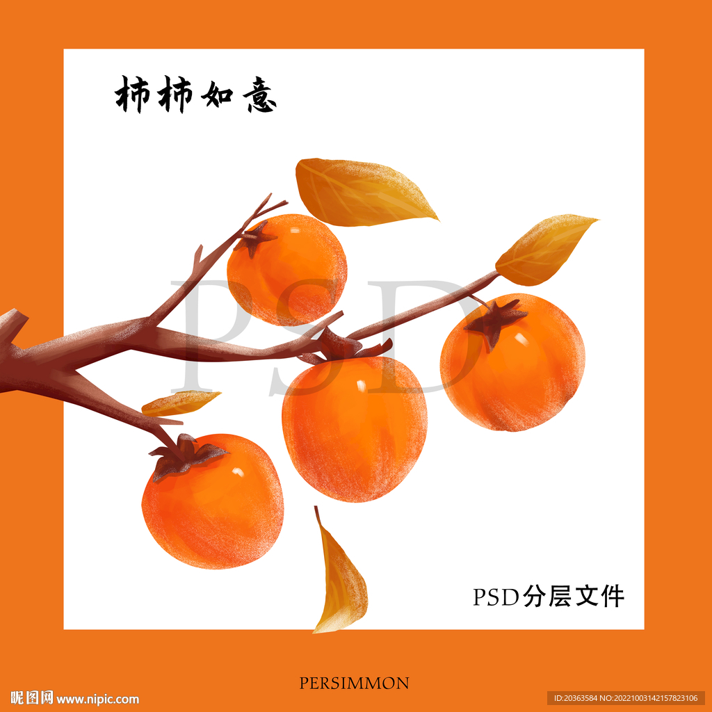 红色柿子手绘图