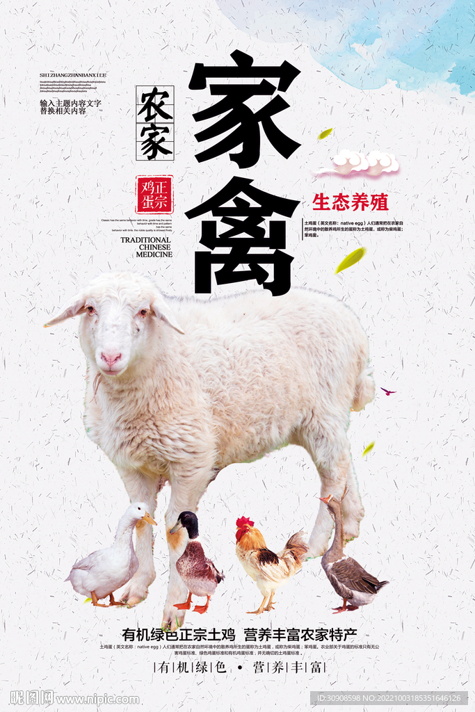 家禽