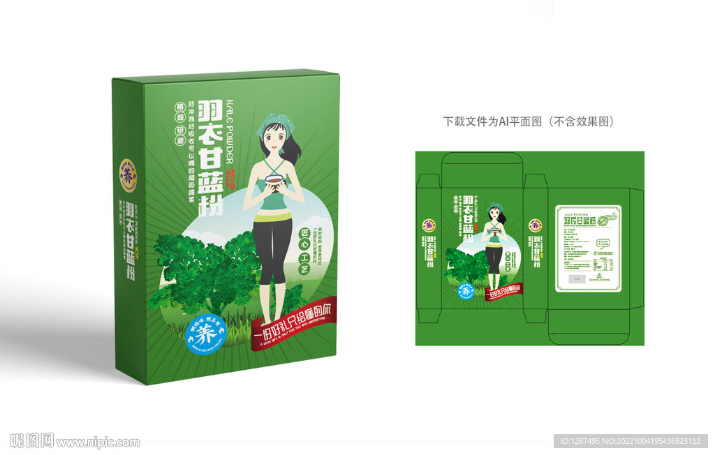 羽衣甘蓝粉礼盒