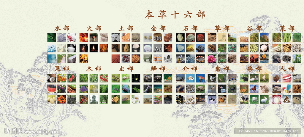 本草十六部
