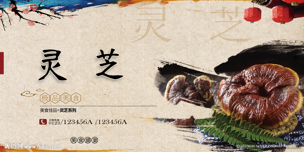 灵芝