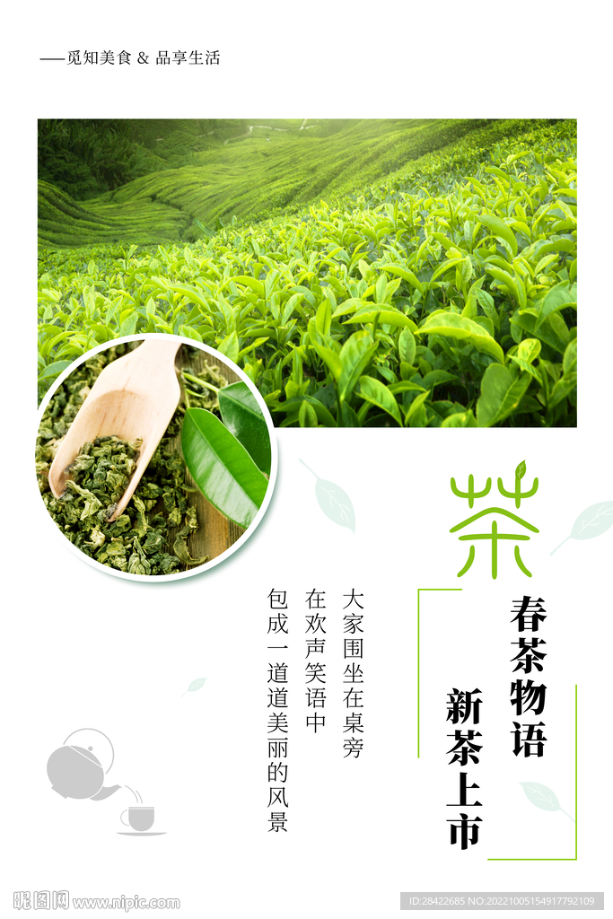 茶叶海报