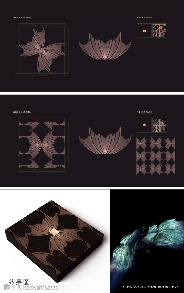 鱼鳍矢量图案花纹