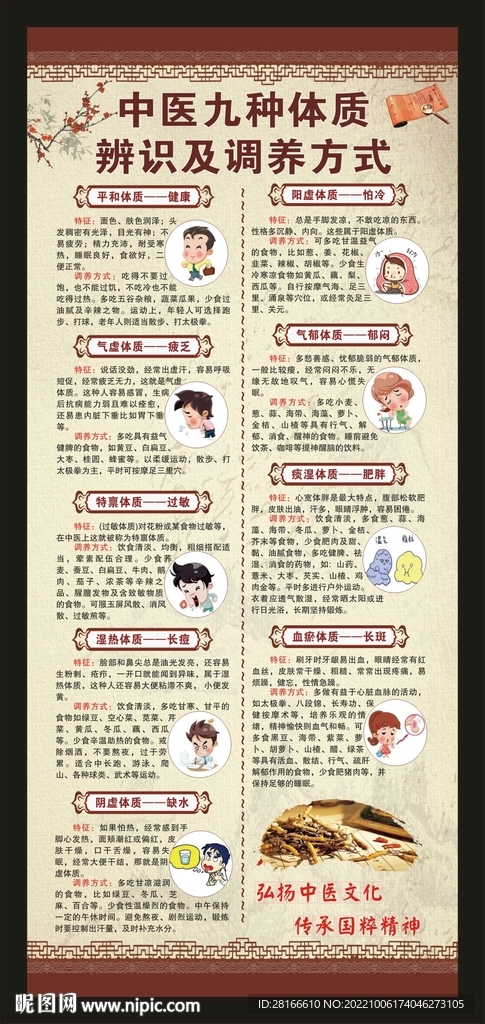 中医体质辨识展架