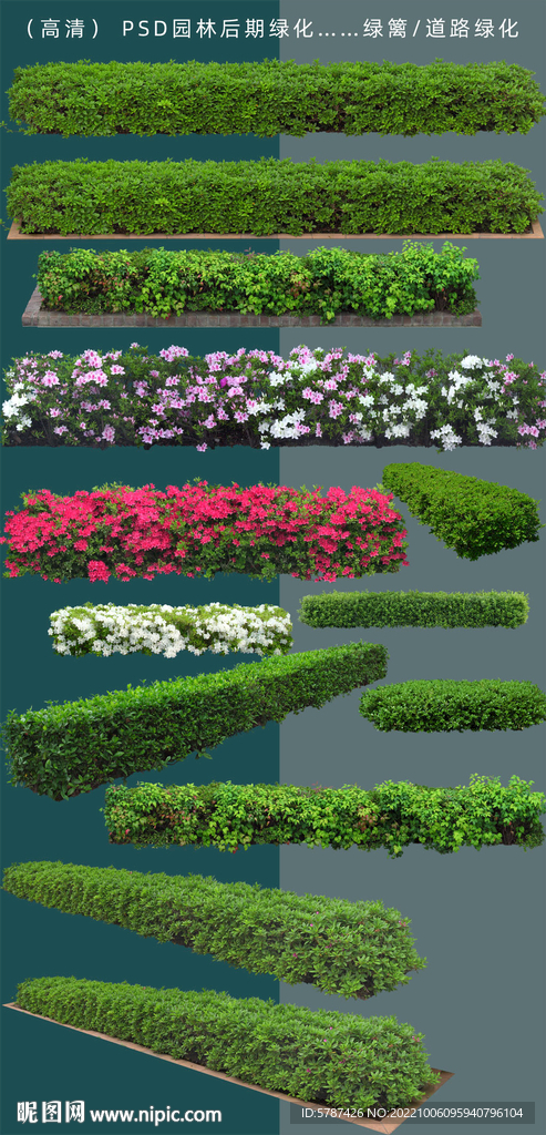 园林绿化植物
