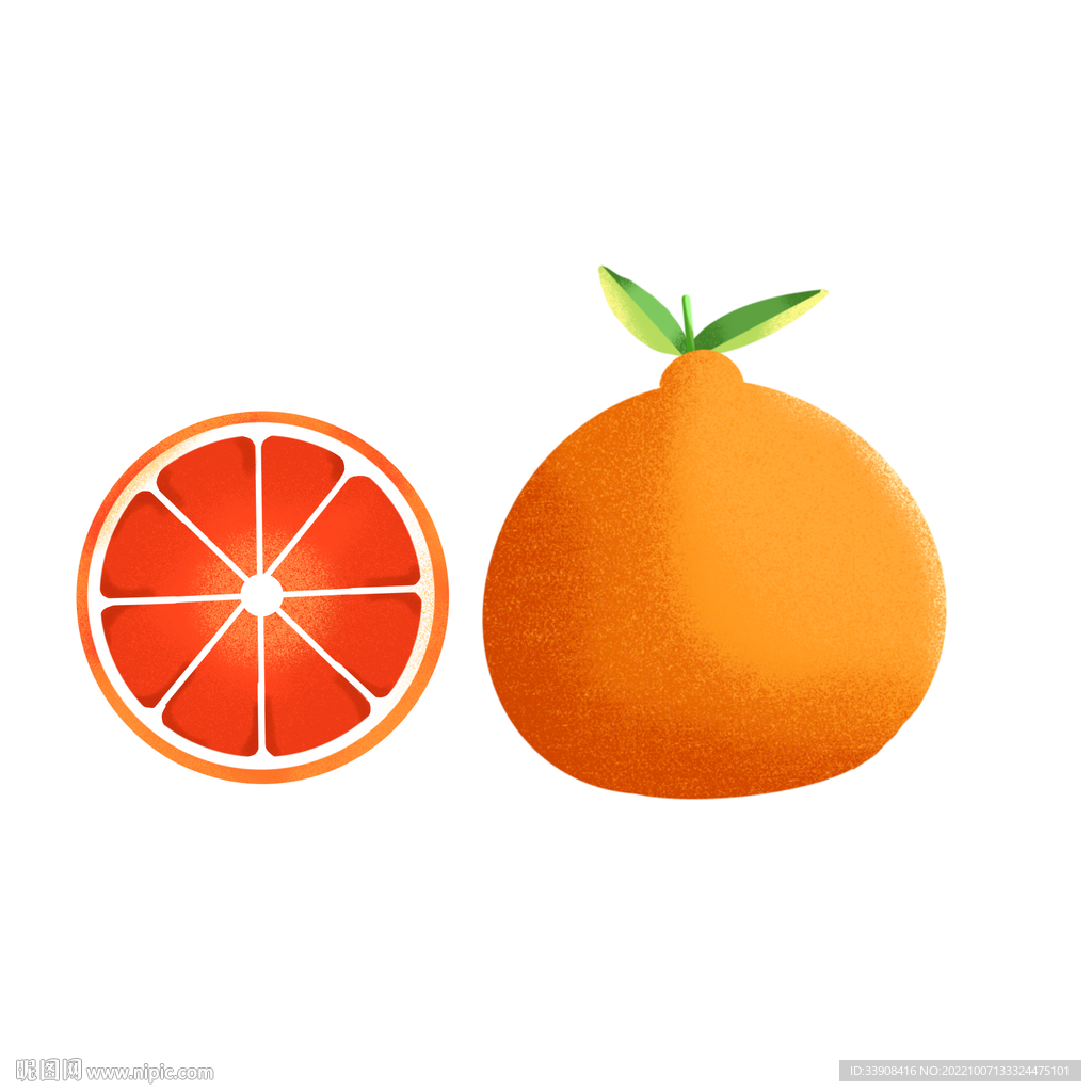 手绘西柚橙子