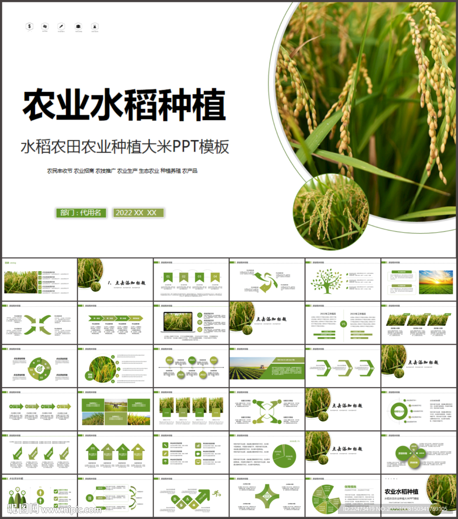 水稻农田农业种植大米PPT模板
