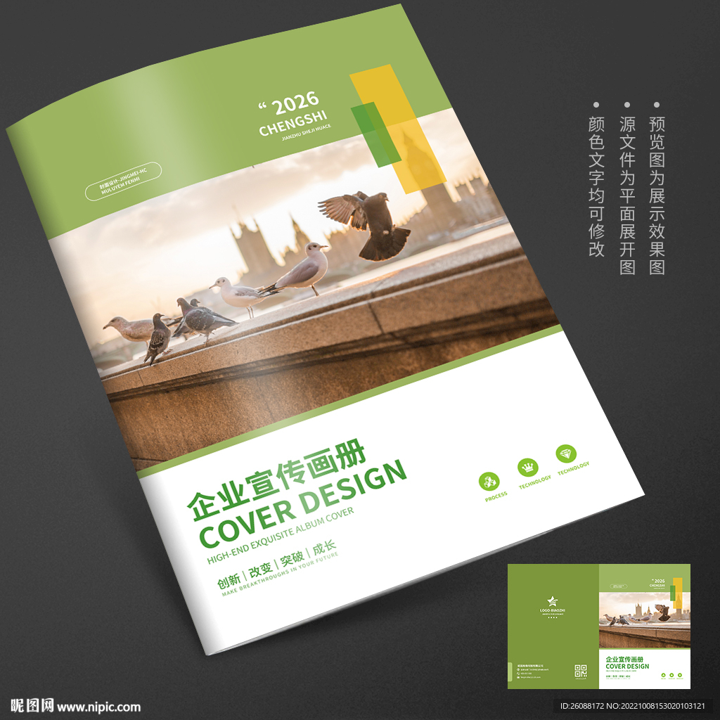 旅游景点鸽子宣传册封面