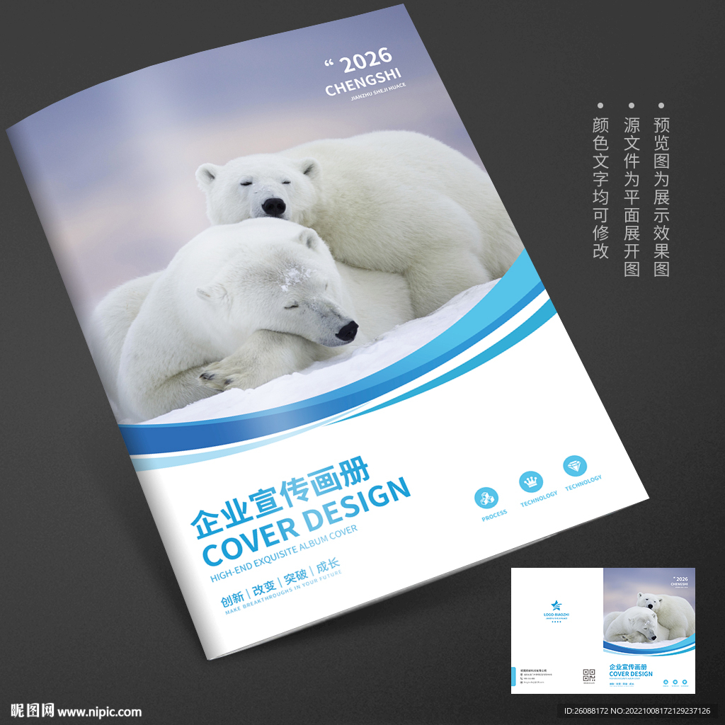 关爱动物北极熊宣传册封面