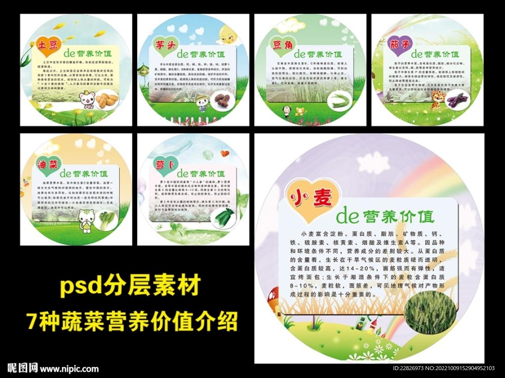 食物蔬菜营养价值