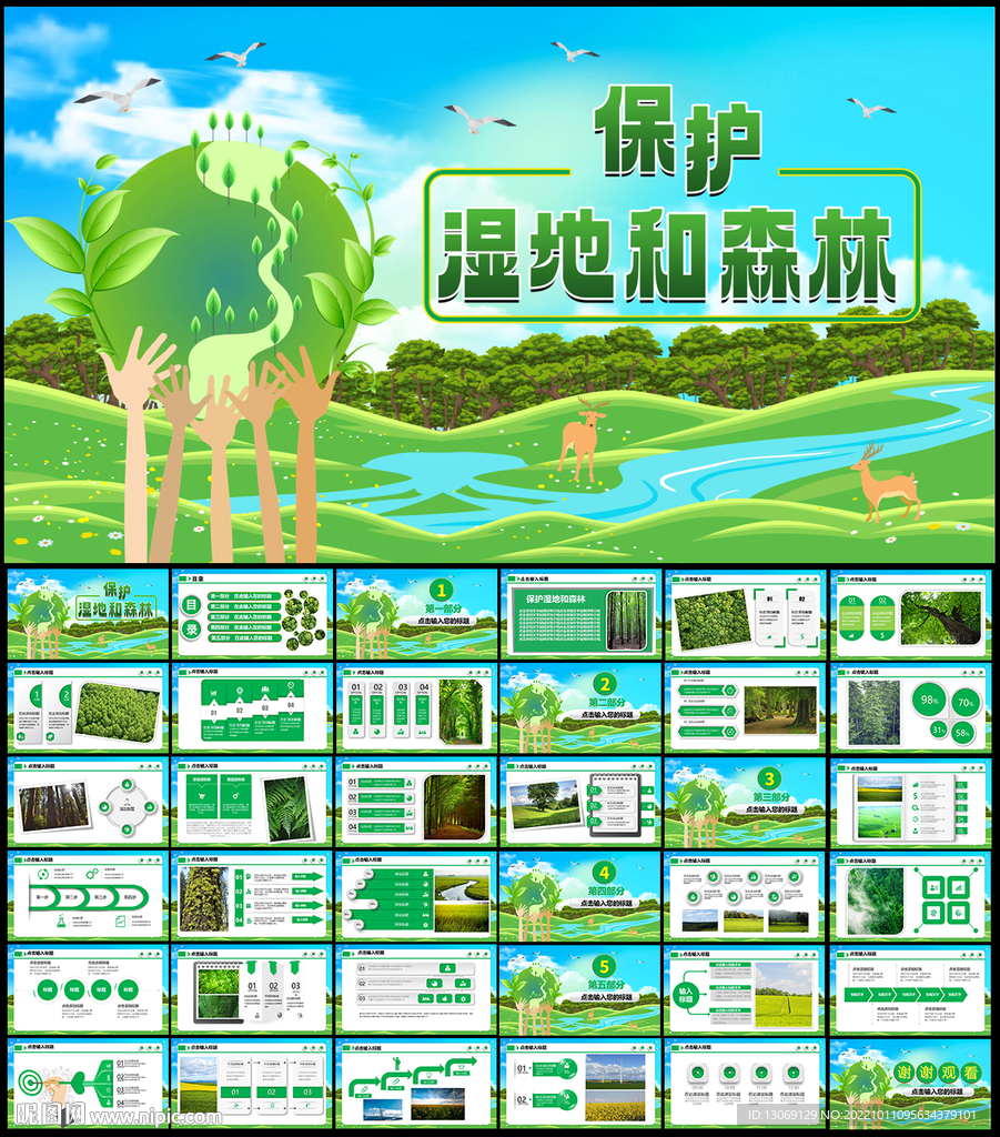 保护湿地和森林PPT