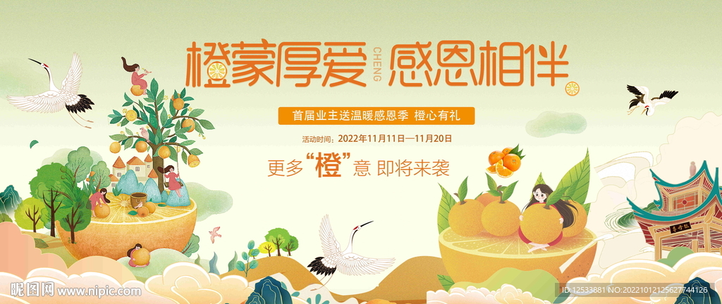橙子采摘活动