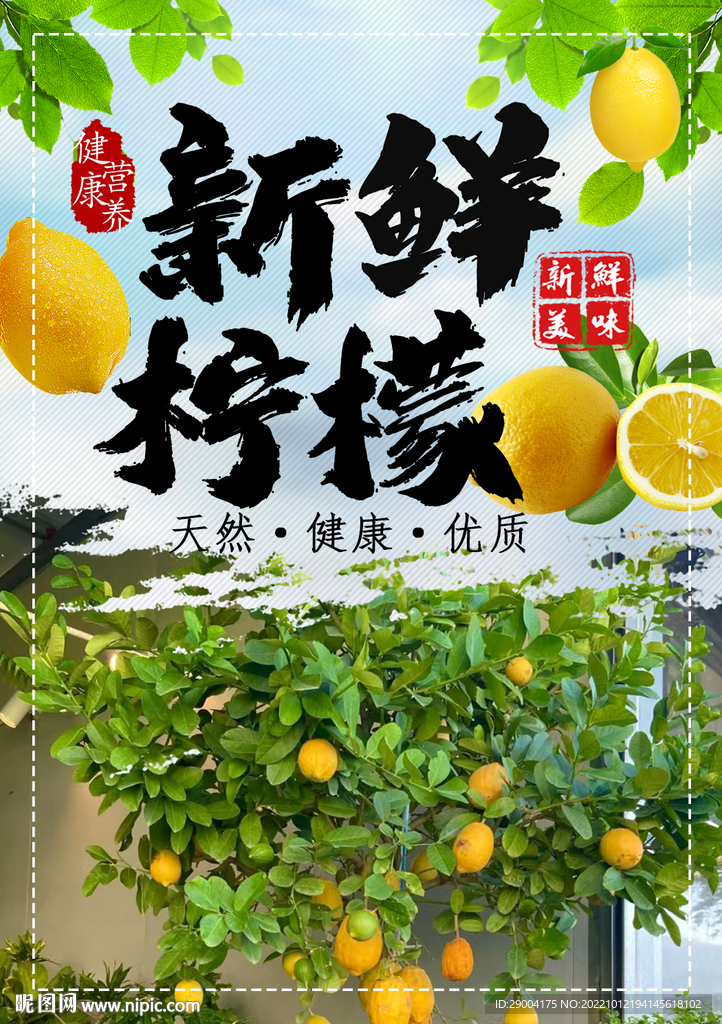新鲜柠檬