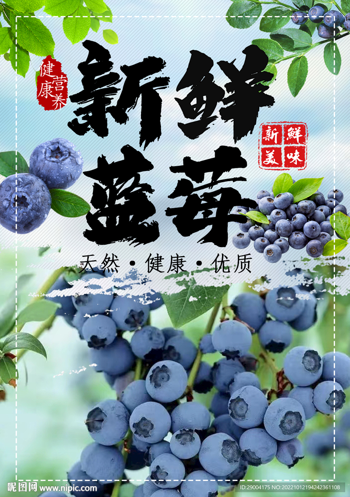 新鲜蓝莓