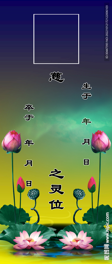 荷花灵位正面