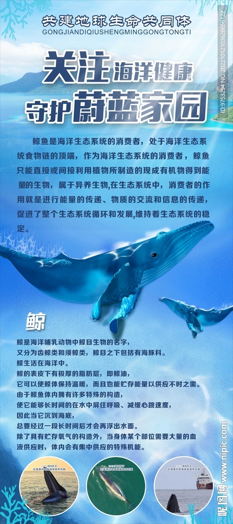 关注海洋健康守护蔚蓝家园展架