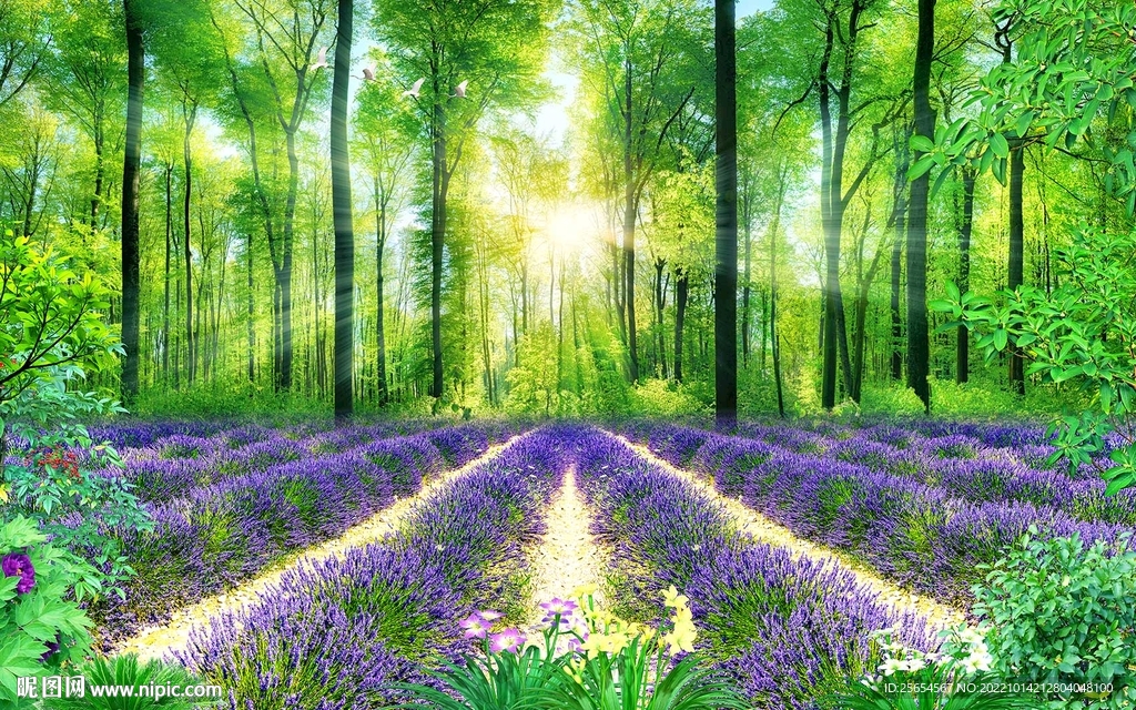 树林熏衣草背景墙