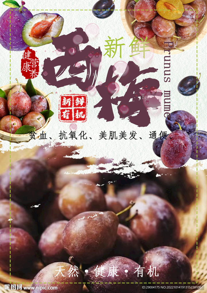 西梅