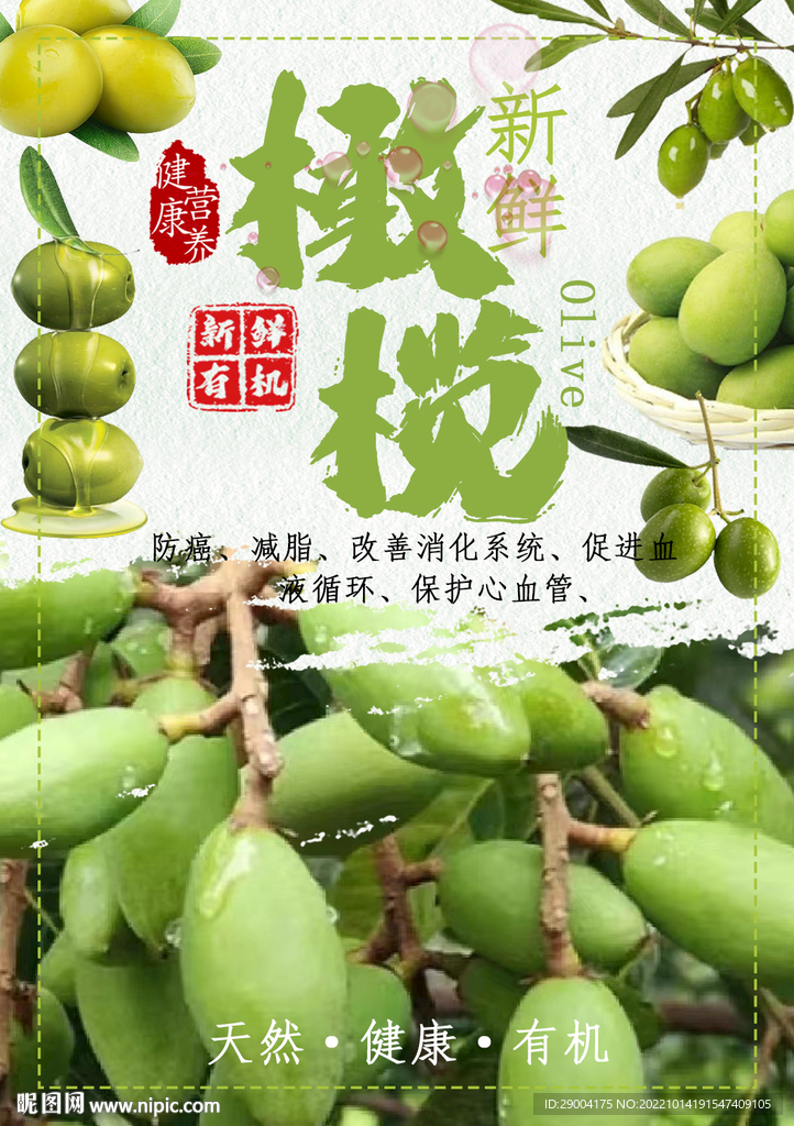 橄榄