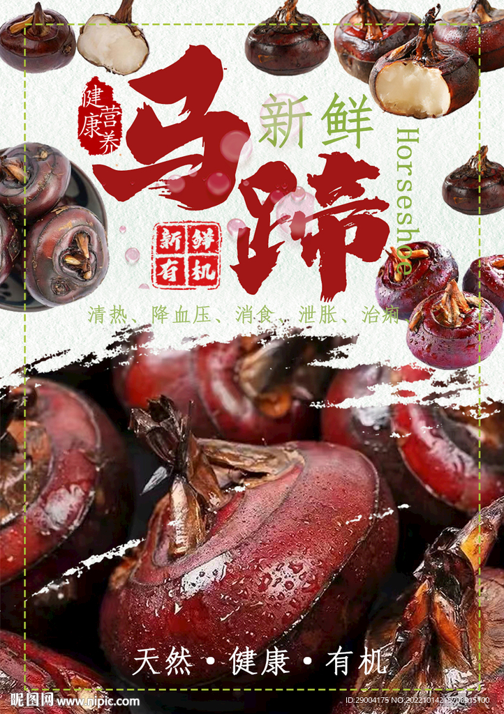 马蹄