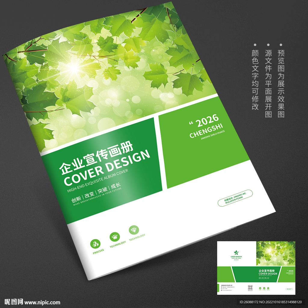 树荫树叶春天树林画册封面