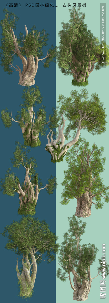  高清后期风景树