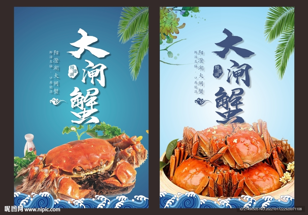 大闸蟹背景