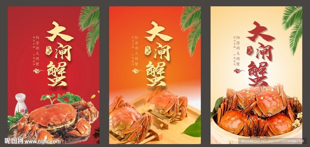 大闸蟹图片