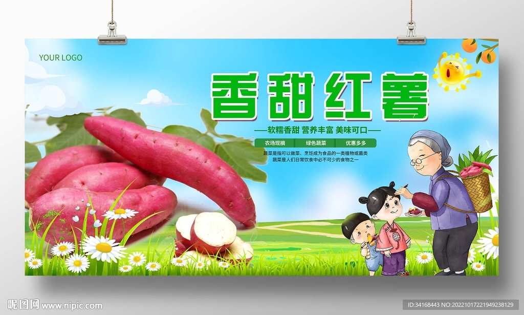 红薯丰收了