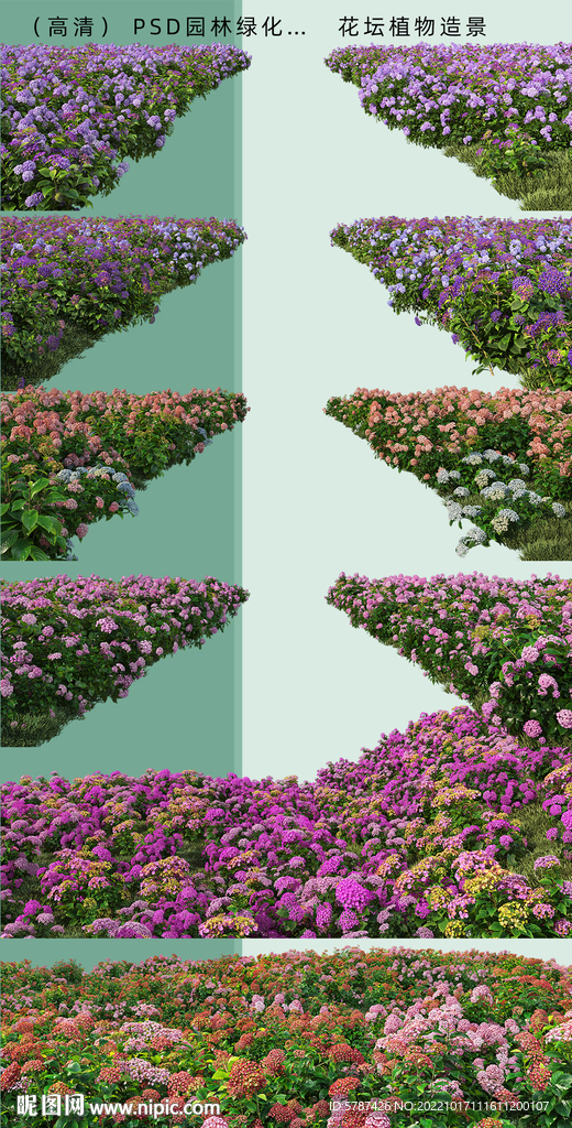 道路边花圃