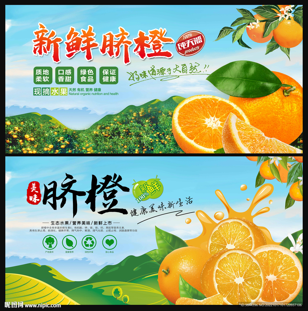 脐橙