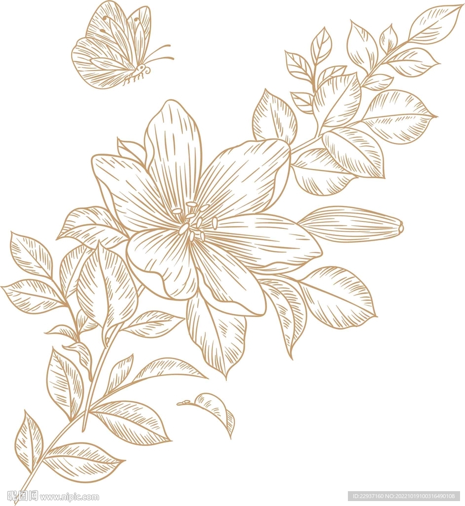 白描花卉