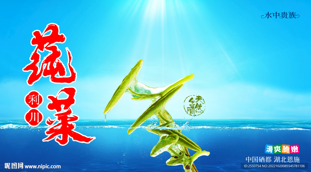 莼菜海报