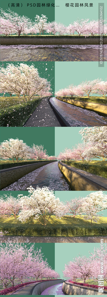 道路樱花街景 