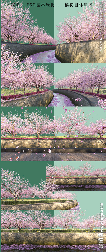 樱花公园风景