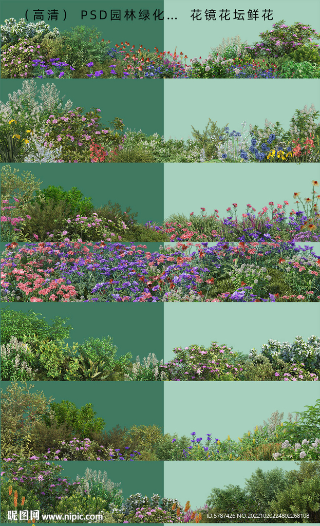 花卉绿化带植物