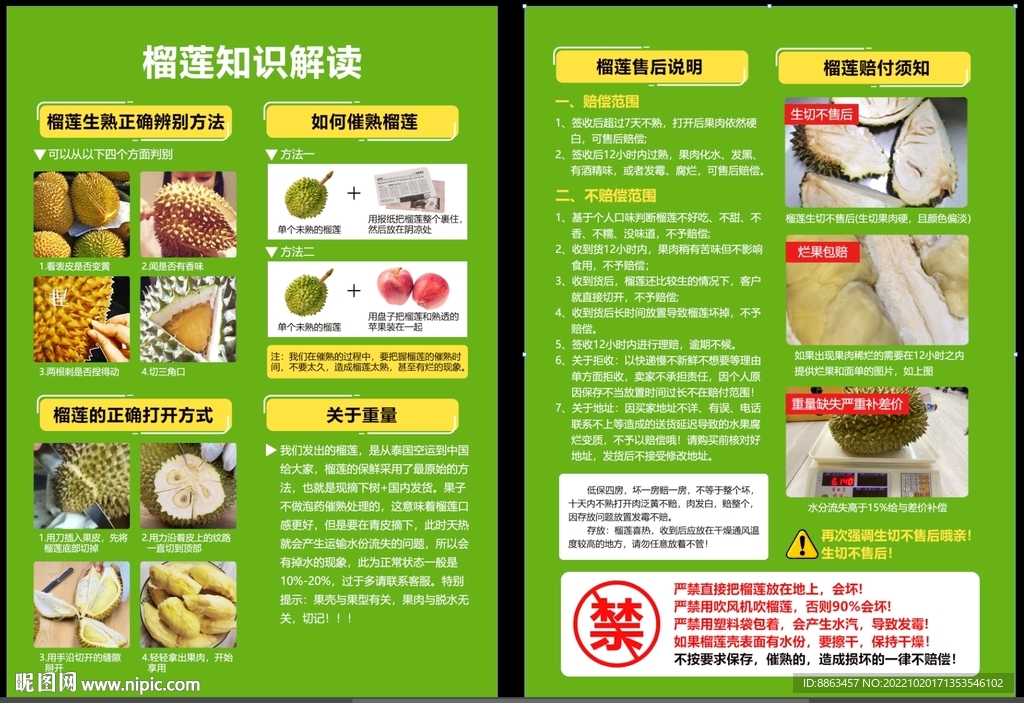 榴莲知识解读单页
