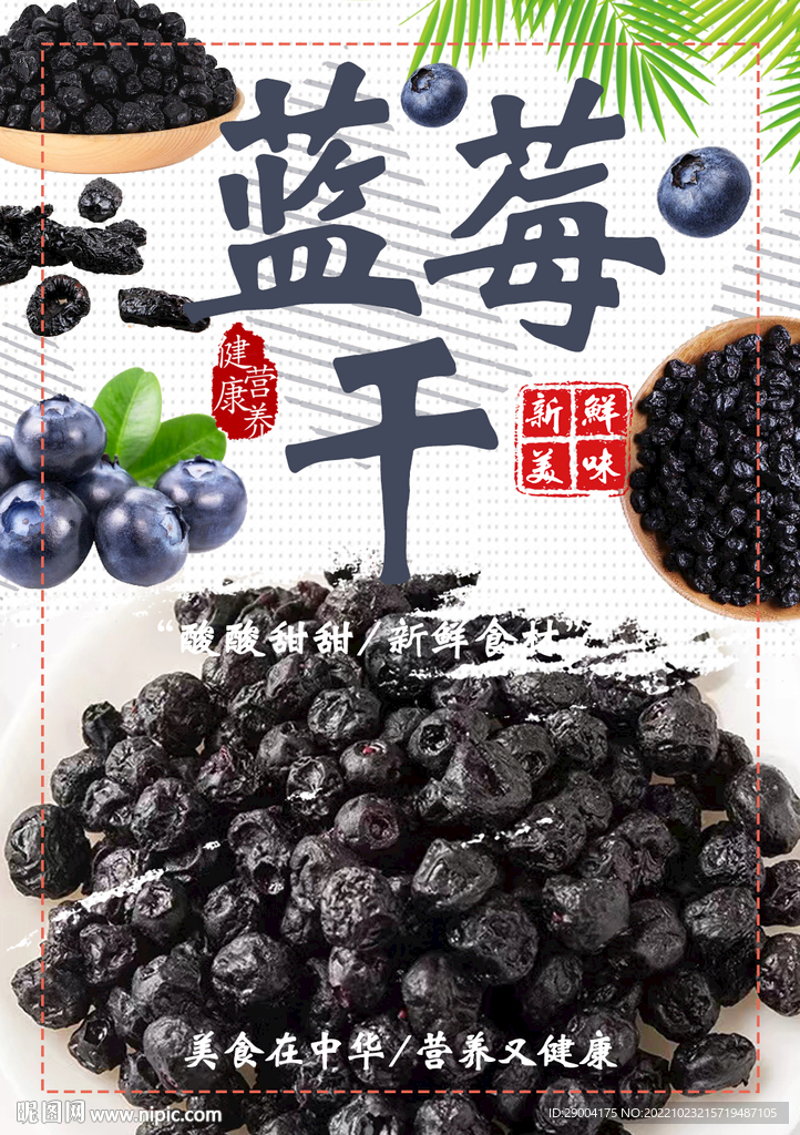 蓝莓干