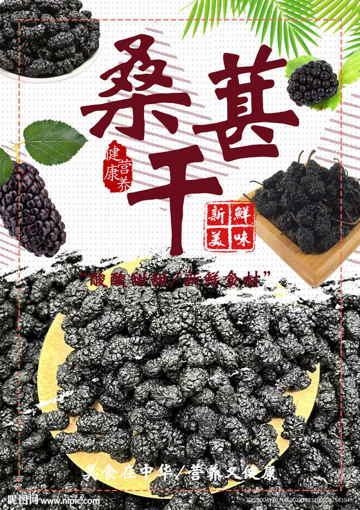 桑葚干