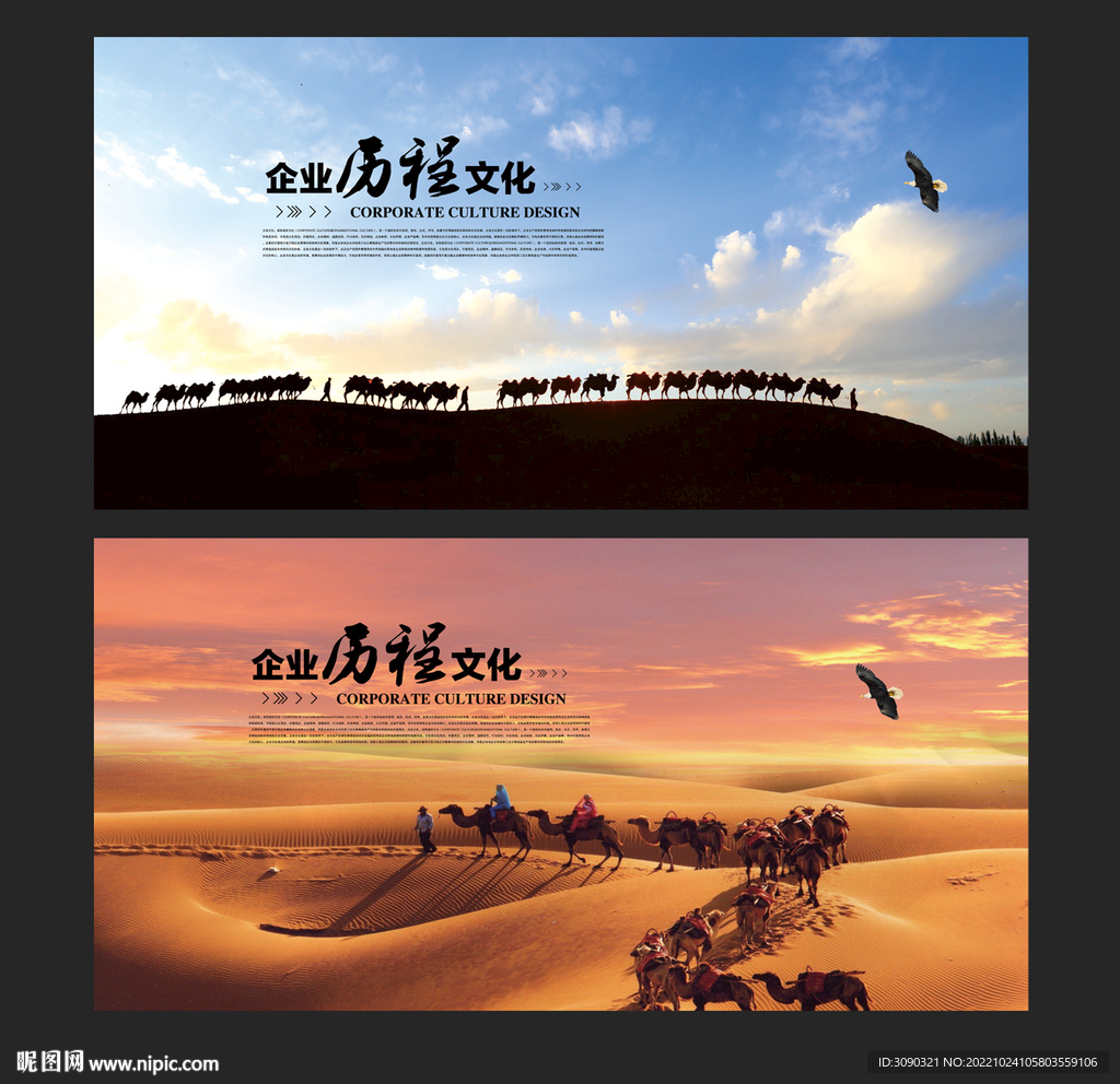 沙漠骆驼海报
