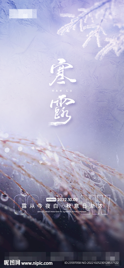 酒吧寒露