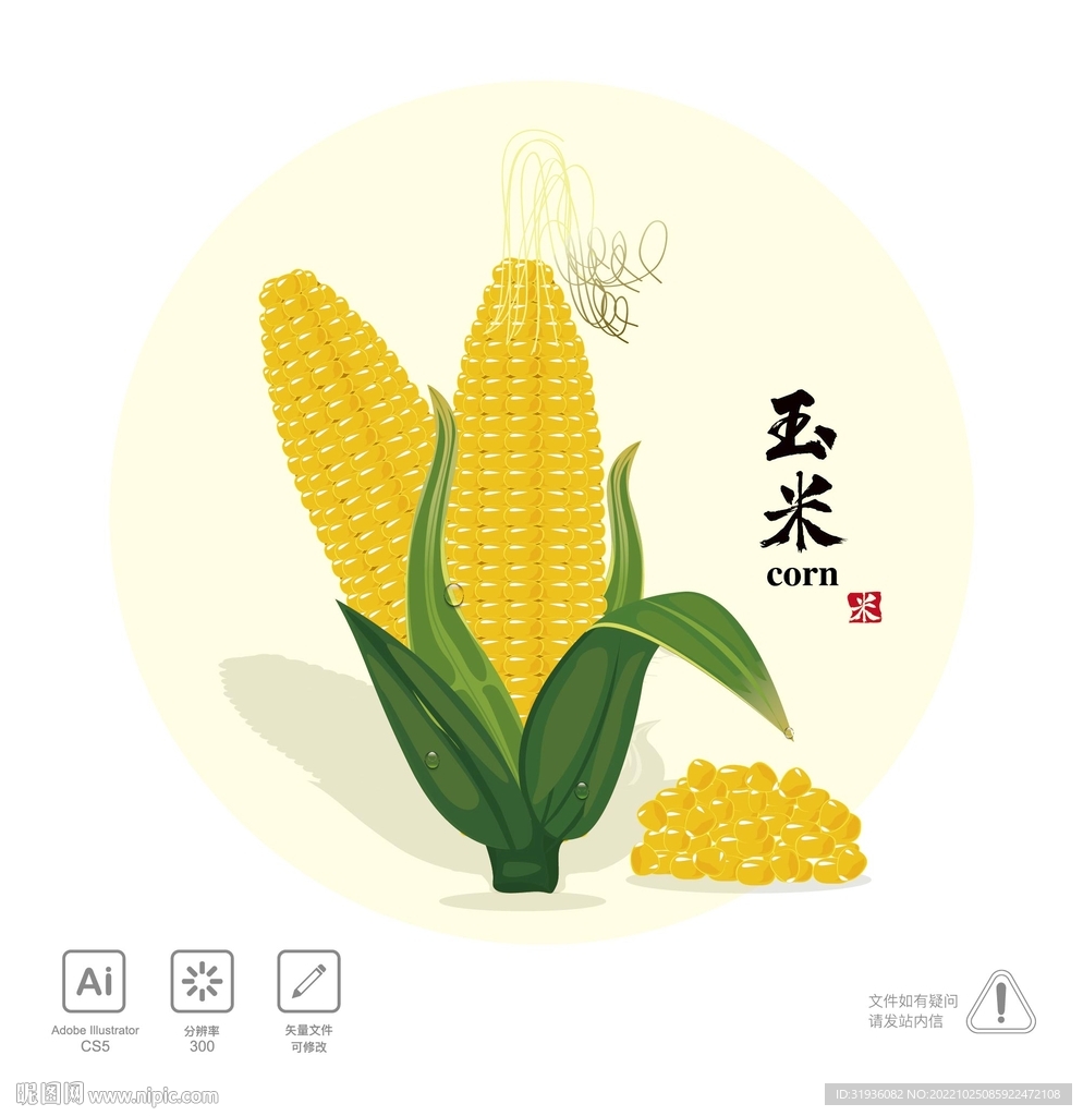 玉米插画