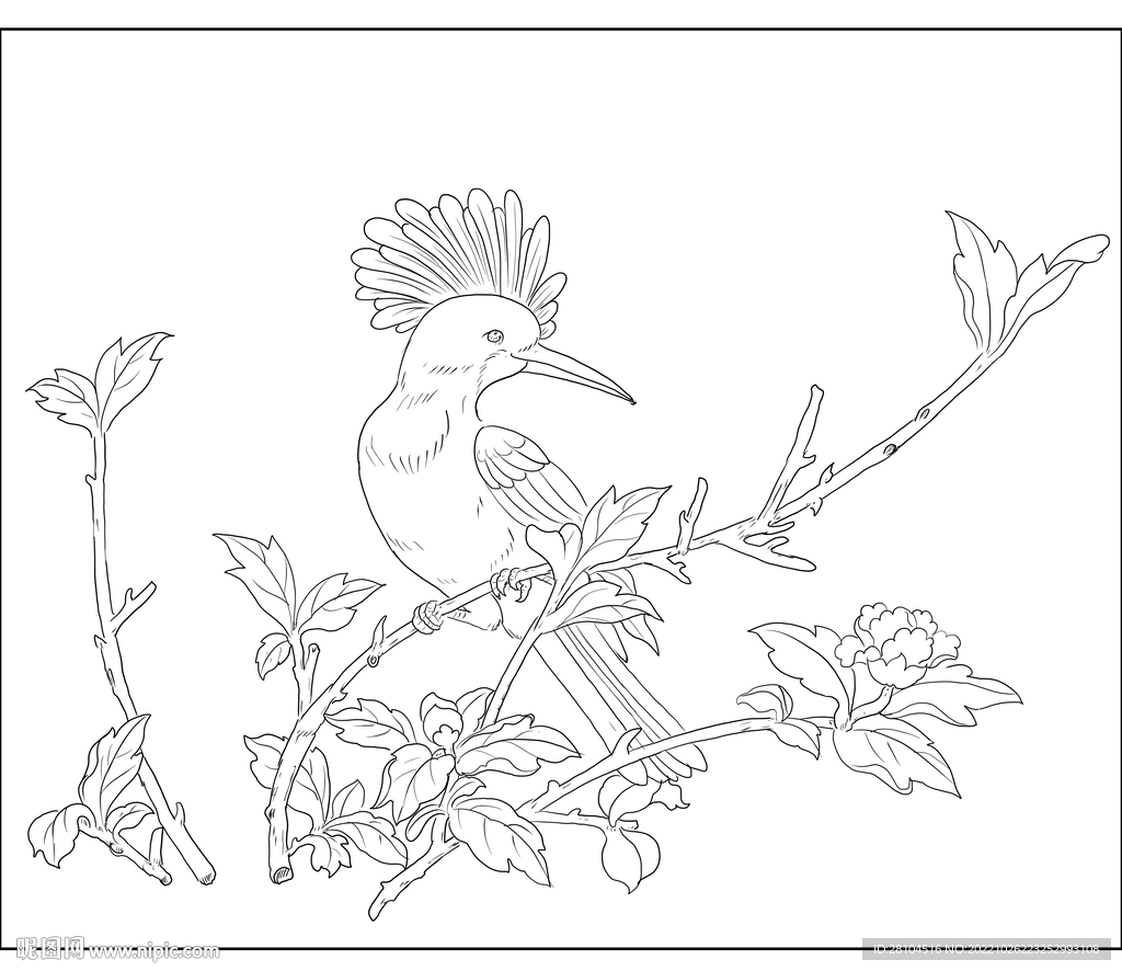 花鸟图