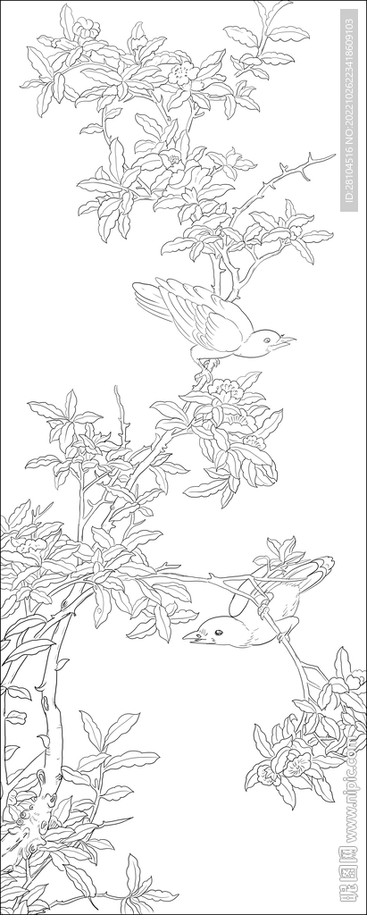 花鸟图