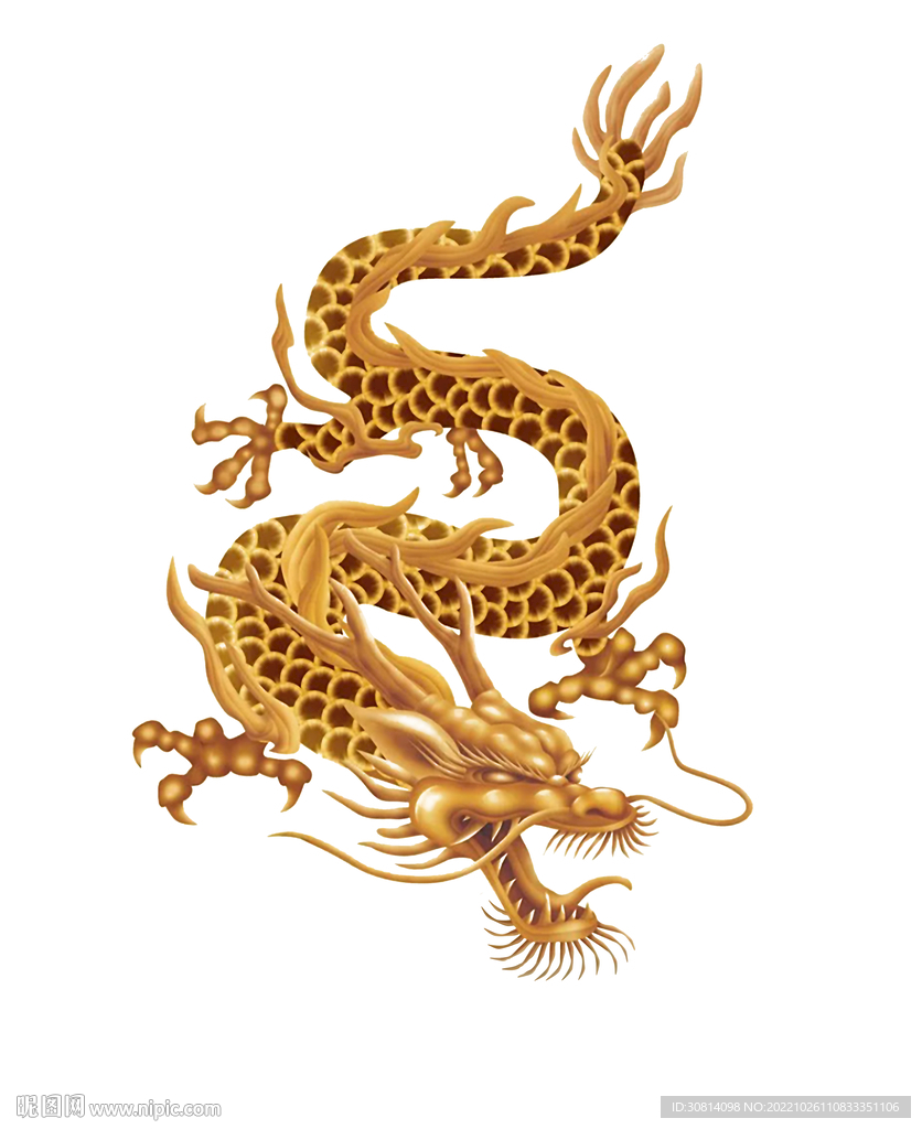 龙