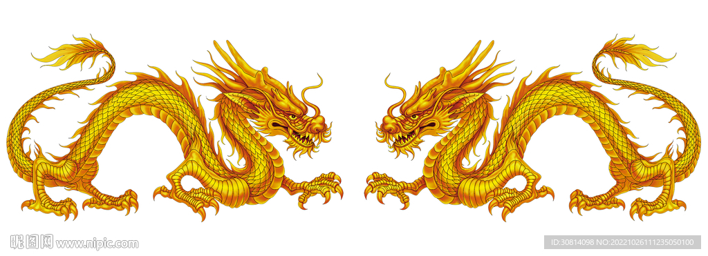 龙