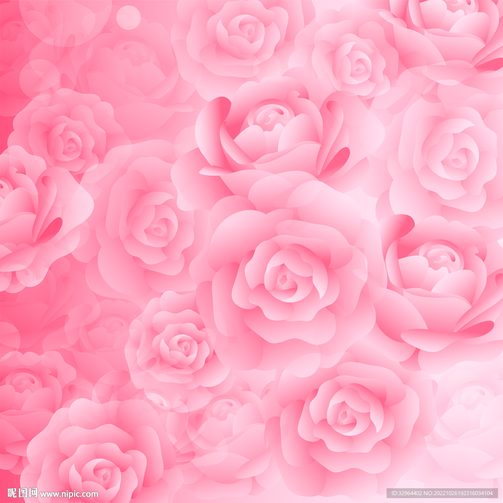 玫瑰花