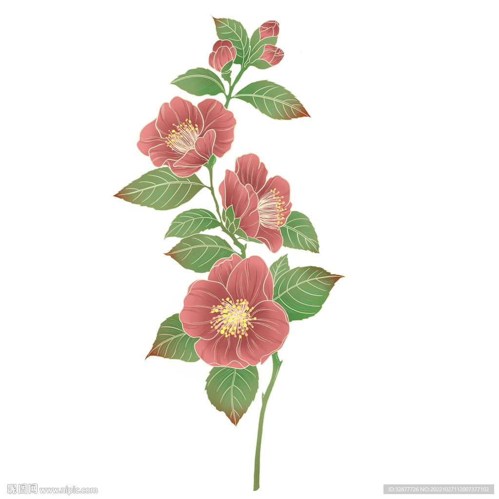 山茶花
