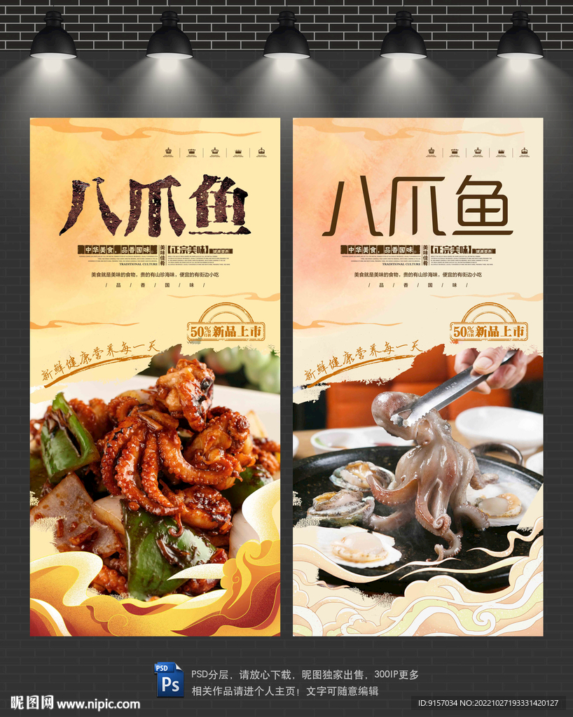 八爪鱼